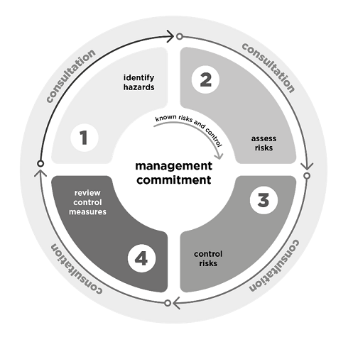 Risk Management Process - Diversity Australia